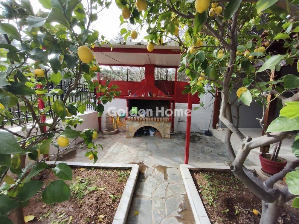 Εξωτερικός Χώρος