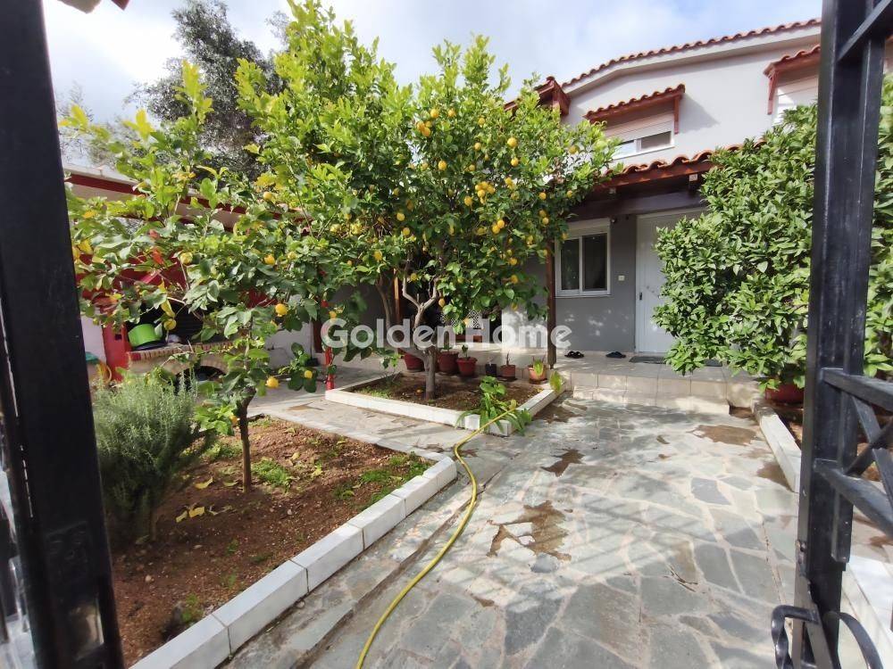 Εξωτερικός Χώρος