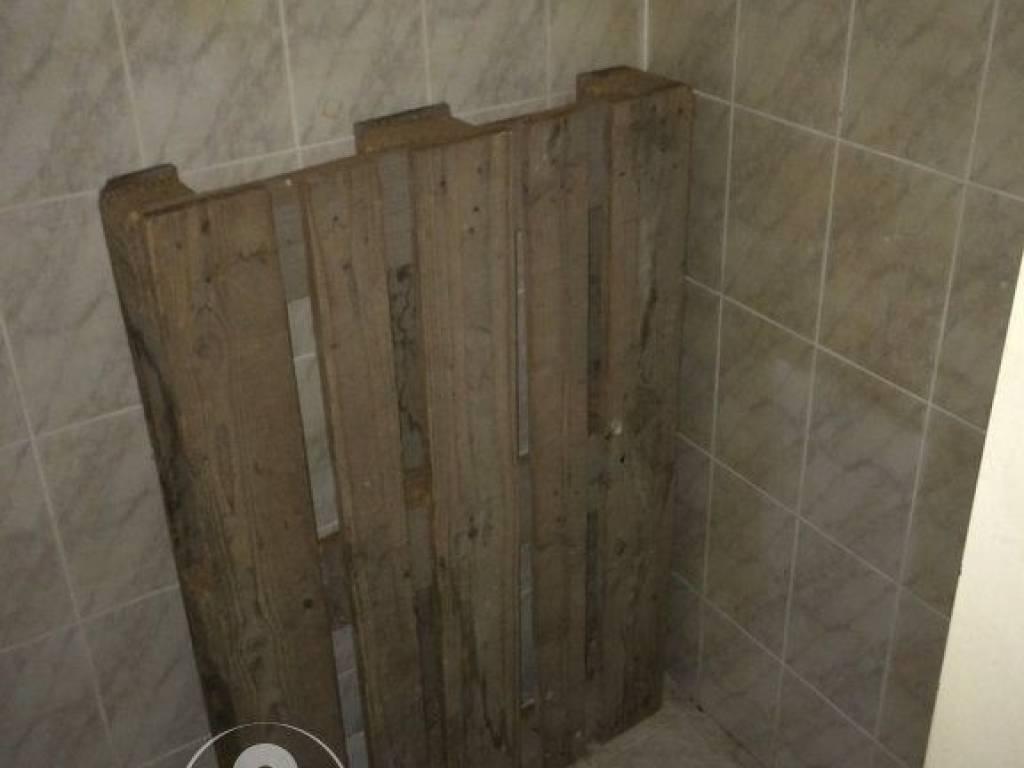 Forumland Real Estate, WC