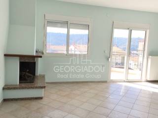 Σαλοκουζίνα