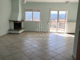 Σαλοκουζίνα