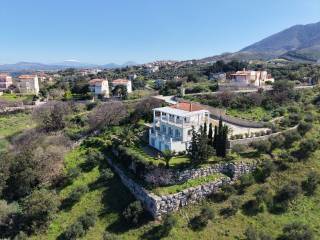 Exoterike opse bilas me petrine ependyse