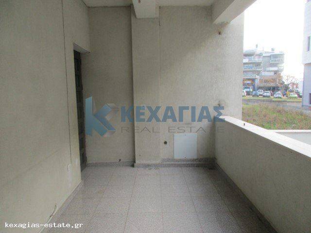 ΠΙΣΩ ΠΛΕΥΡΑ