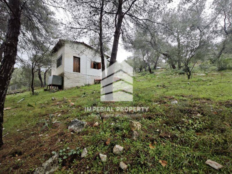 Εξωτερικός χώρος