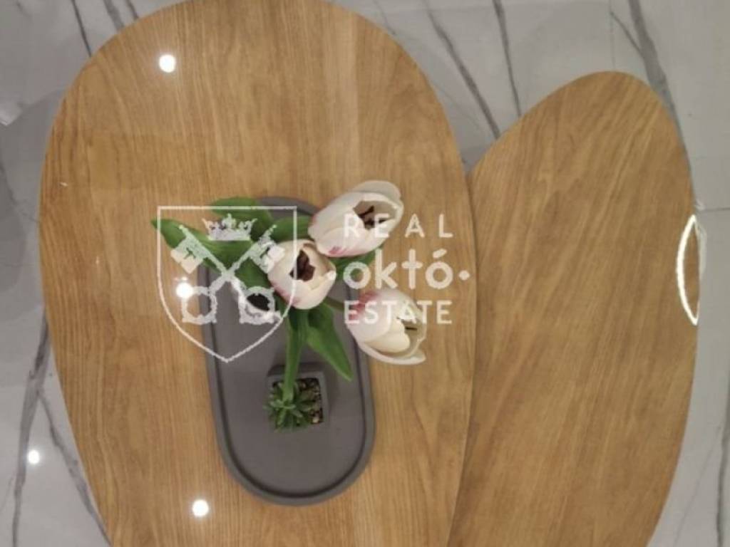 Σαλοκουζίνα