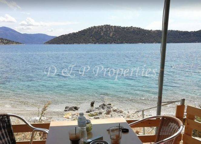 Επάνω στην αμμουδιά