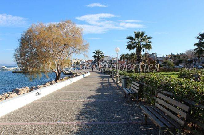 Άποψη της περιοχής