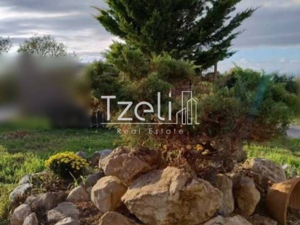 Εξωτερική άποψη χώρου