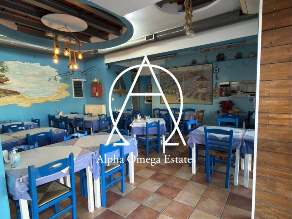 εσωτερικός χώρος - σάλα.