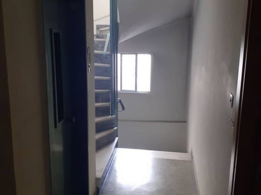 Diadromos diamerismatos