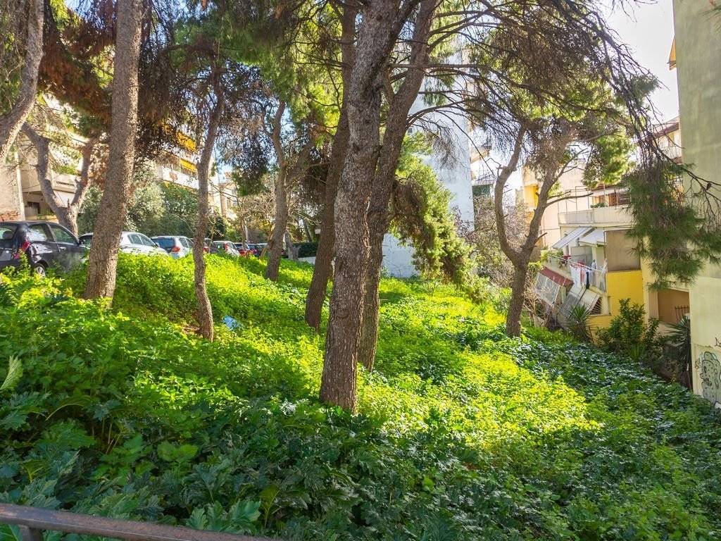 Πλαϊνή όψη 1