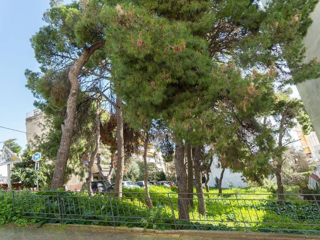 Πλαϊνή όψη 3