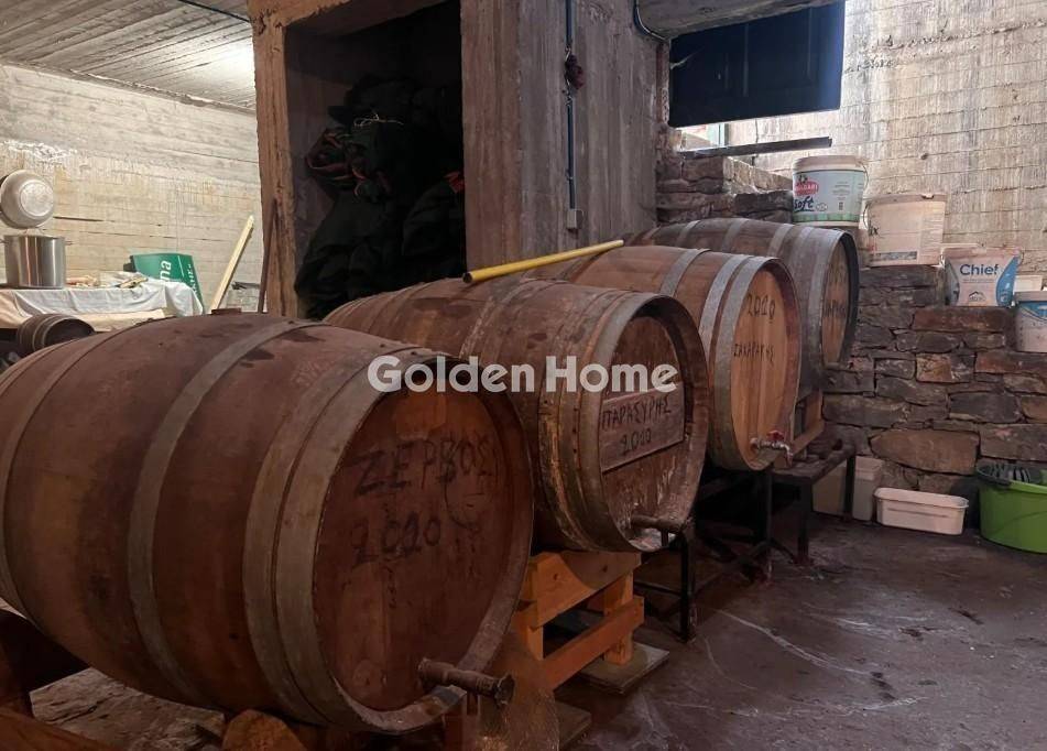 Κυρίως Χώρος