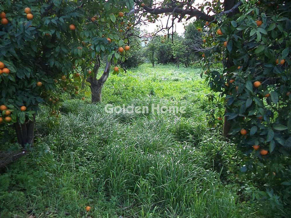 Εξωτερικός Χώρος