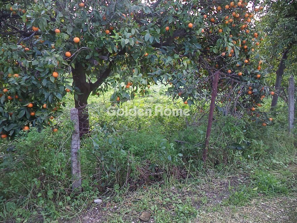 Εξωτερικός Χώρος