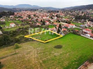 Αεροφωτογραφία