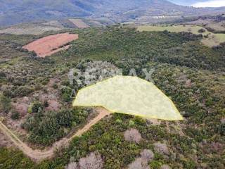 Αεροφωτογραφία