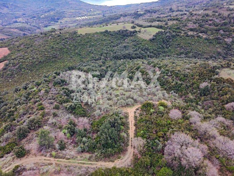 Αεροφωτογραφία