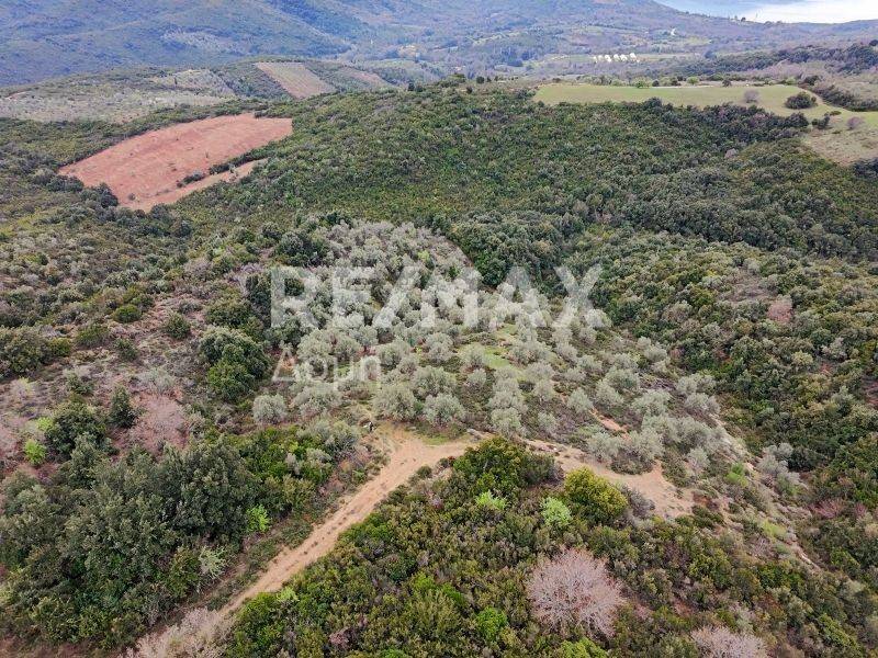 Αεροφωτογραφία