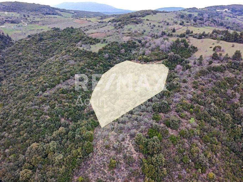 Αεροφωτογραφία