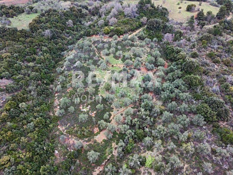 Αεροφωτογραφία