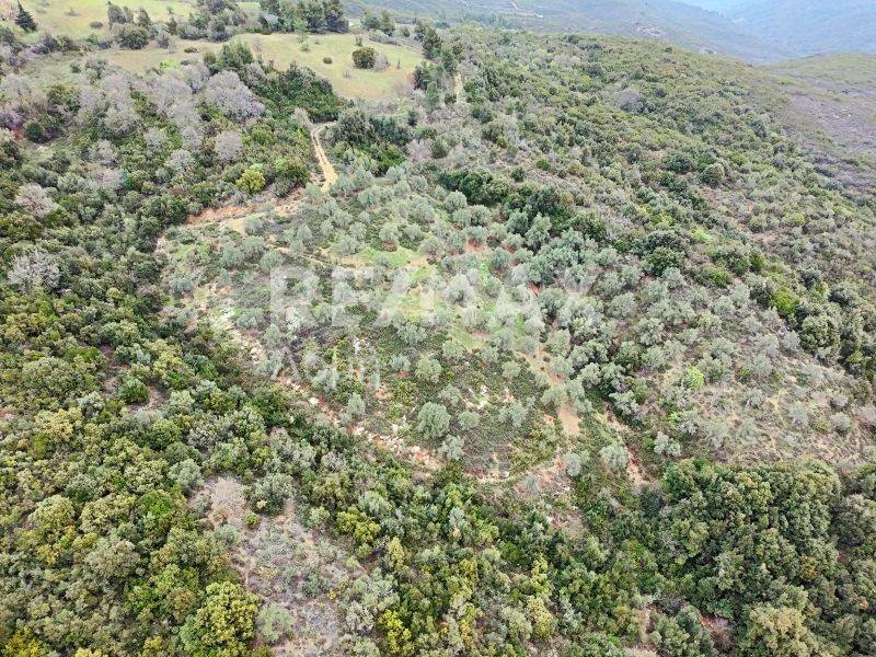 Αεροφωτογραφία