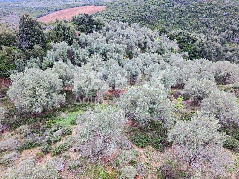 Αεροφωτογραφία