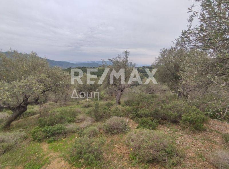 Αεροφωτογραφία