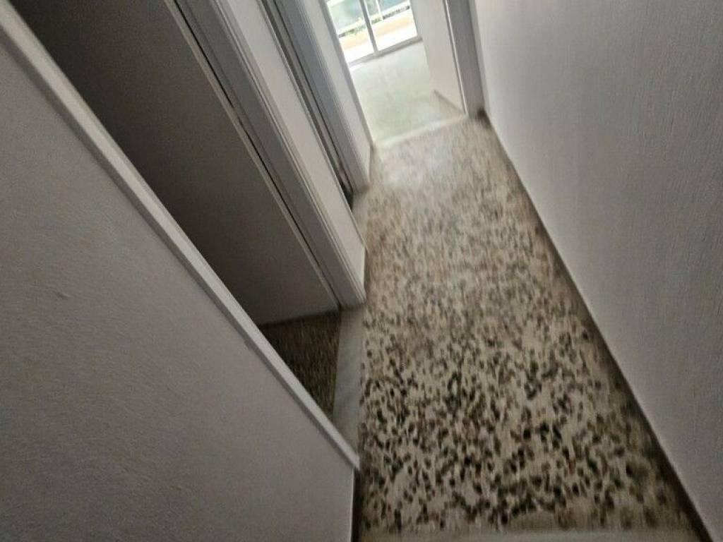 Apartment - Grekodom 65523|1049911