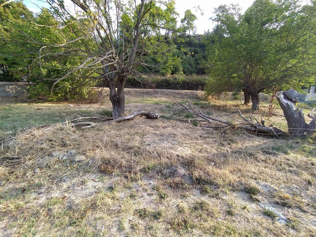 ANYPLACE ΜΕΣΙΤΙΚΕΣ ΥΠΗΡΕΣΙΕΣ