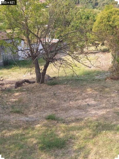 ANYPLACE ΜΕΣΙΤΙΚΕΣ ΥΠΗΡΕΣΙΕΣ