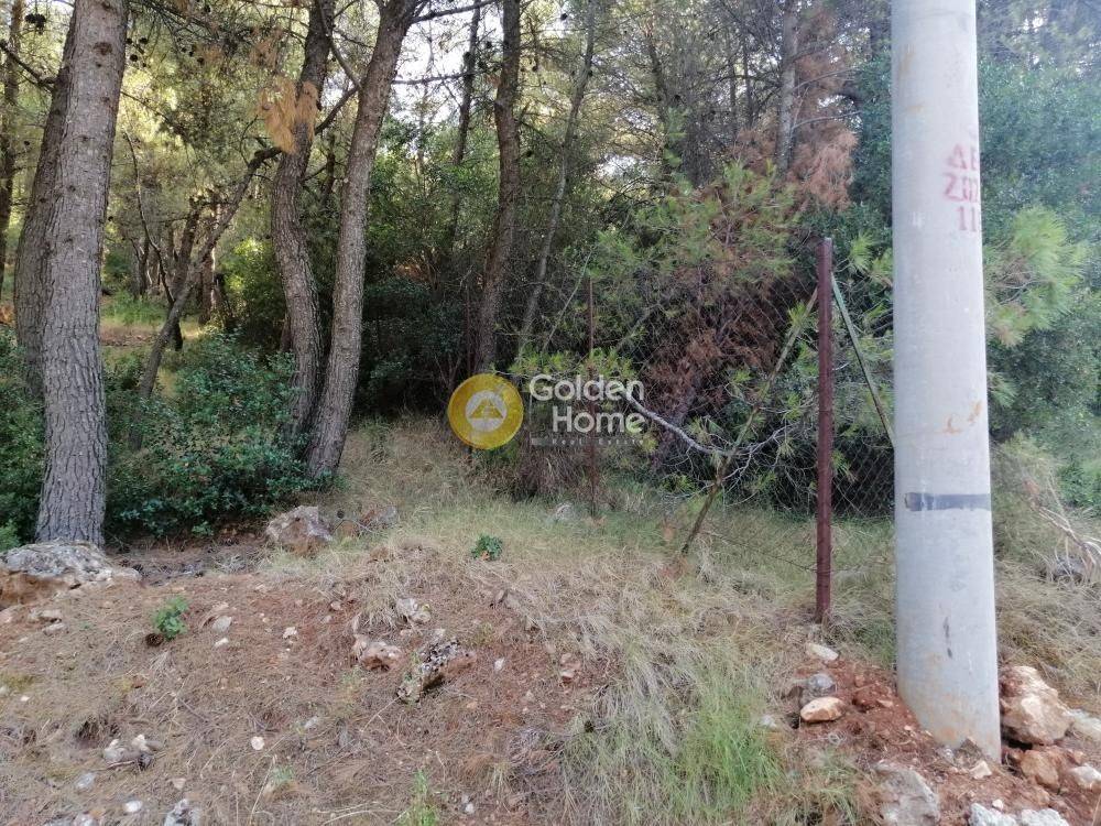 Κυρίως Χώρος