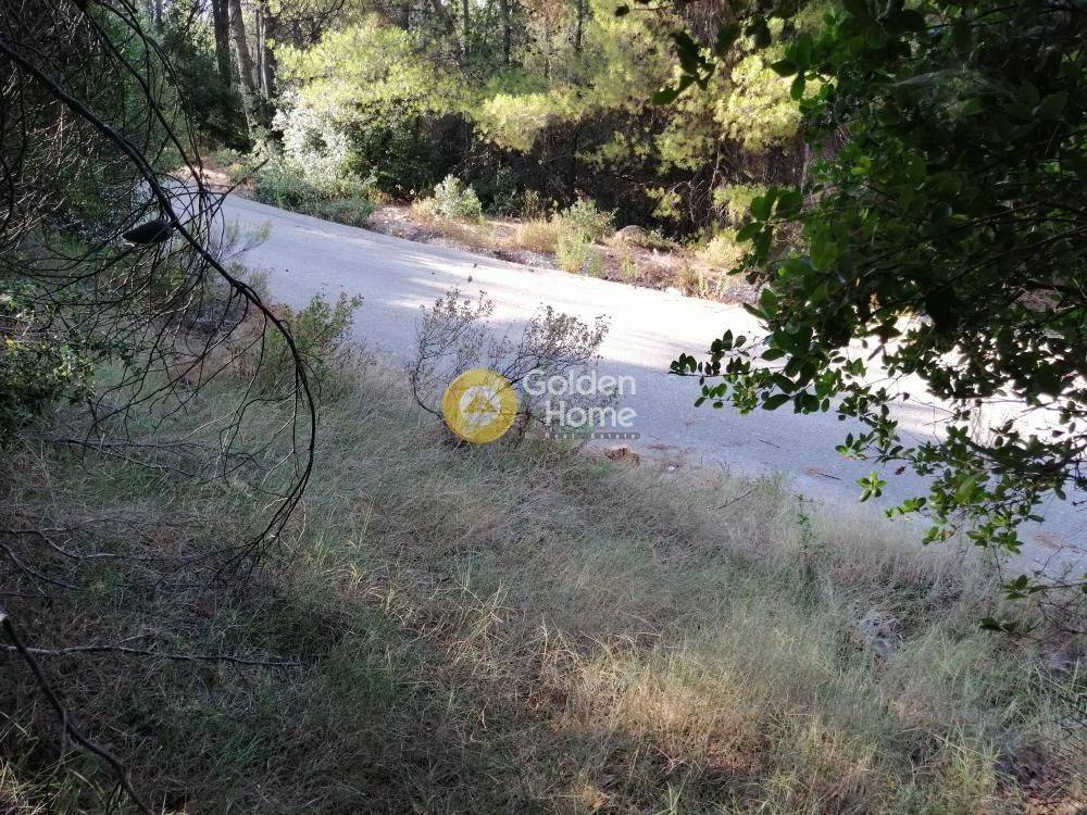 Κυρίως Χώρος