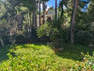 Oikopedo 850 t.m., kepos 600 t.m.