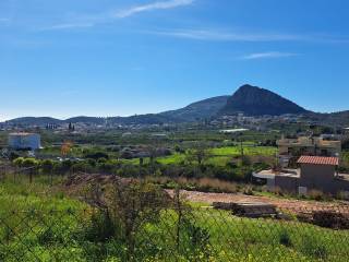 ΘΕΑ ΟΙΚΟΠΕΔΟΥ