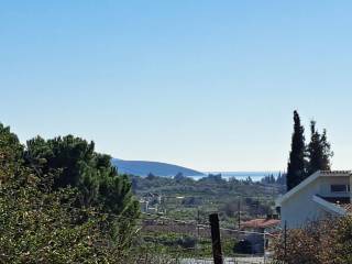 ΘΕΑ ΟΙΚΟΠΕΔΟΥ