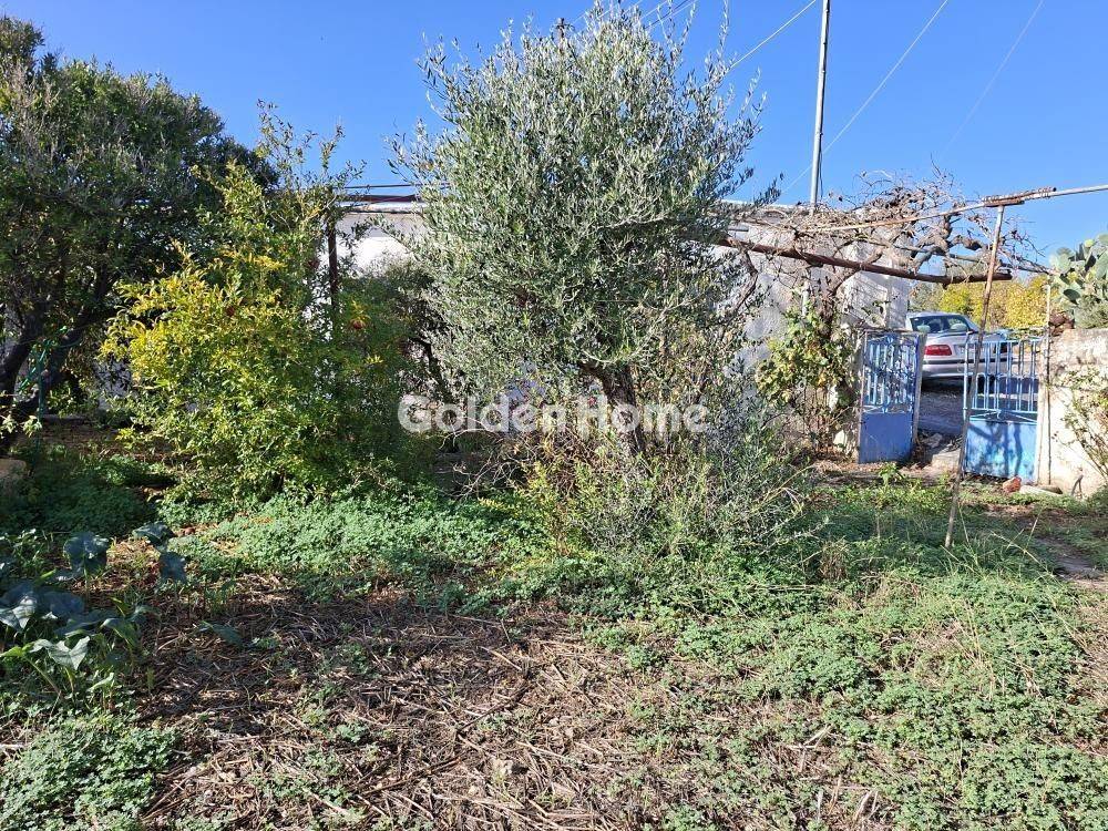 Εξωτερικός Χώρος