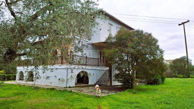 Εξωτερικός χώρος