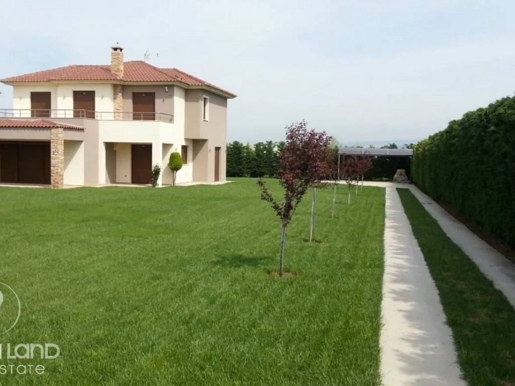 Forumland Real Estate, μονοκατοικία