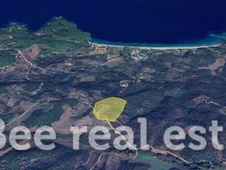 Άποψη εξωτερικού χώρου