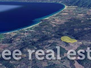 Άποψη εξωτερικού χώρου