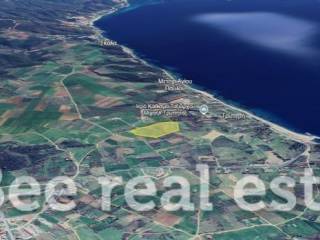 Άποψη εξωτερικού χώρου