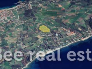 Άποψη εξωτερικού χώρου