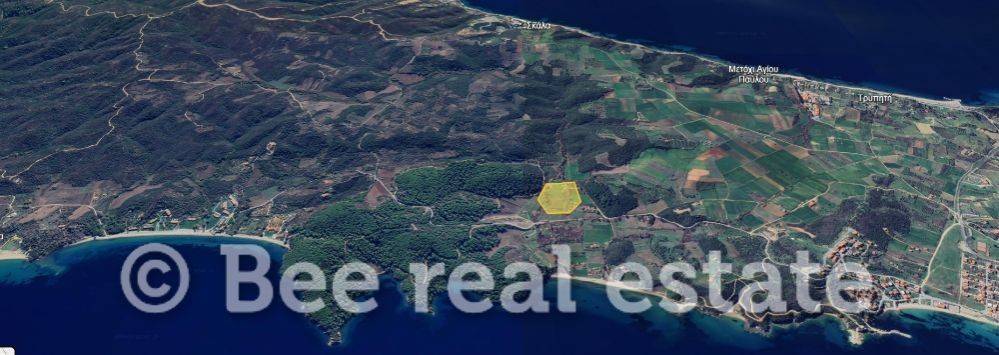 Άποψη εξωτερικού χώρου