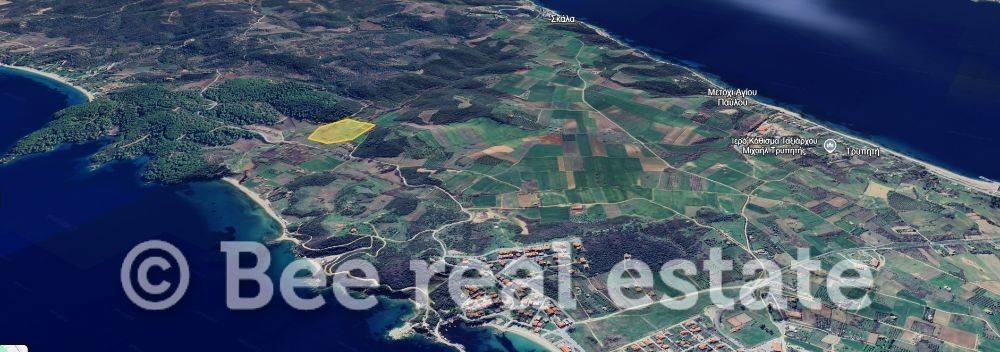 Άποψη εξωτερικού χώρου