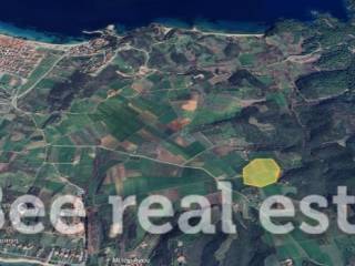 Άποψη εξωτερικού χώρου