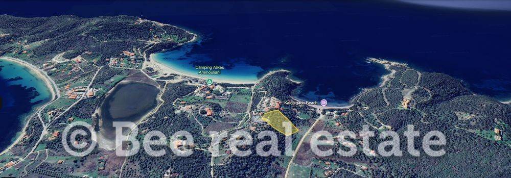 Άποψη εξωτερικού χώρου