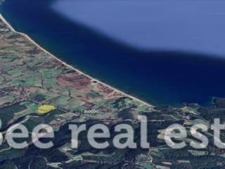 Άποψη εξωτερικού χώρου