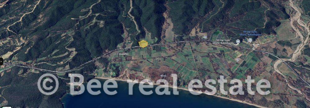 Άποψη εξωτερικού χώρου