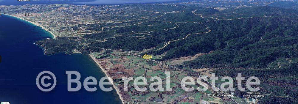 Άποψη εξωτερικού χώρου